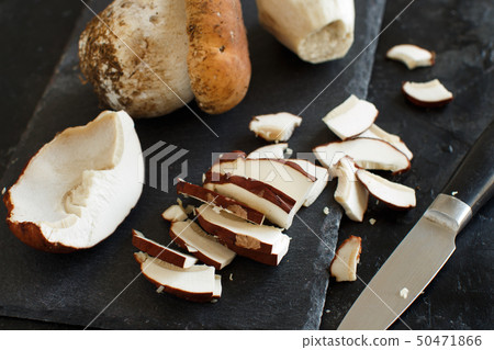 Wild porcino mushrooms 50471866