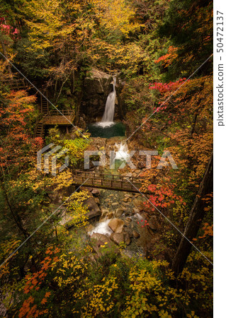 Gifu Yumori Park Ryujin Falls Fall leaves Gifu Yumori Park Ryujin Falls Fall leaves 50472137