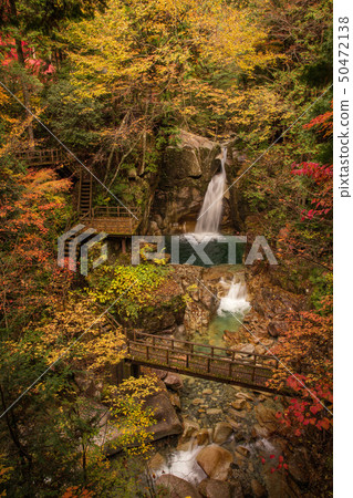 Gifu Yumori Park Ryujin Falls Fall leaves 50472138