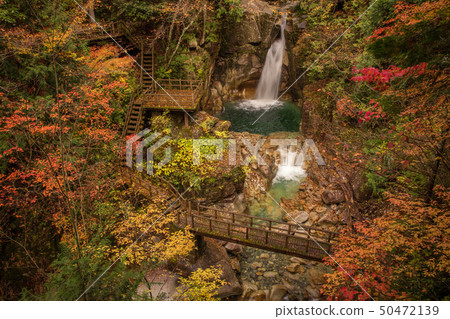 Gifu Yumori Park Ryujin Falls Fall leaves 50472139