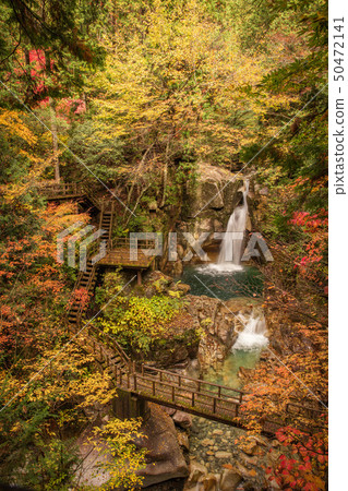 岐阜Yumori公園Ryujin瀑布秋天葉子 50472141