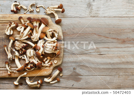 Agrocybe aegerita mushrooms (Pioppino) Agrocybe aegerita mushrooms (Pioppino) 50472403