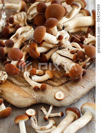 Agrocybe aegerita mushrooms (Pioppino) Agrocybe aegerita mushrooms (Pioppino) 50472409