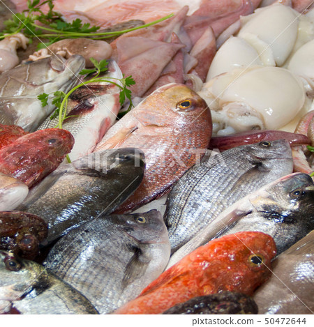 Mixed fish for sale on a market Mixed fish for sale on a market 50472644