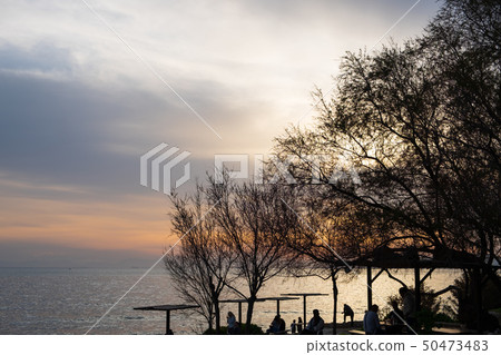 Sunset scene of tree branches and people 50473483