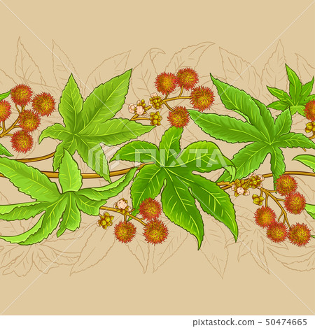 castor vector pattern 50474665