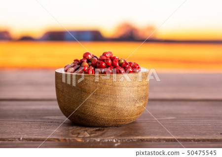 Pink peruvian pepper with autumn field behind Pink peruvian pepper with autumn field behind 50475545