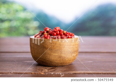 Pink peruvian pepper in a jungle 50475549