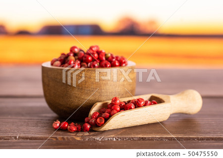 Pink peruvian pepper with autumn field behind Pink peruvian pepper with autumn field behind 50475550