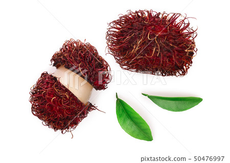 rambutan with leaves isolated on white background. Tropical fruit. Nephelium lappaceum. Top view rambutan with leaves isolated on white background. Tropical fruit. Nephelium lappaceum. Top view 50476997