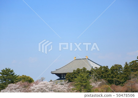 東大寺大佛堂 東大寺大佛堂 50478506