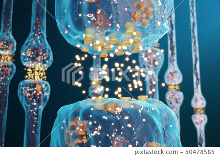 Synaptic transmission, human nervous system. Concept consciousness. Brain synapses. Transmission 50478585