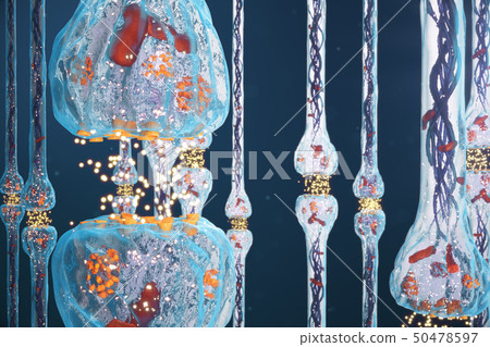 Synaptic transmission, human nervous system. Concept consciousness. Brain synapses. Transmission 50478597