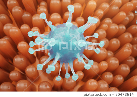 Intestinal villi, mucosa intestinal. Bacteria and microbes in intestines. Microscopic villi and 50478614