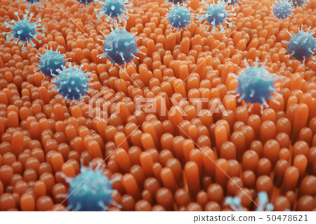 Intestinal villi, mucosa intestinal. Bacteria and microbes in intestines. Microscopic villi and 50478621