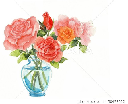 Watercolor rose flower 50478622
