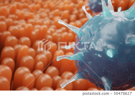 Intestinal villi. Intestine lining. Microscopic capillary. Human intestine. Concept of a healthy or 50478627