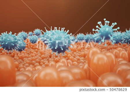 Intestinal villi, mucosa intestinal. Bacteria and microbes in intestines. Microscopic villi and 50478629