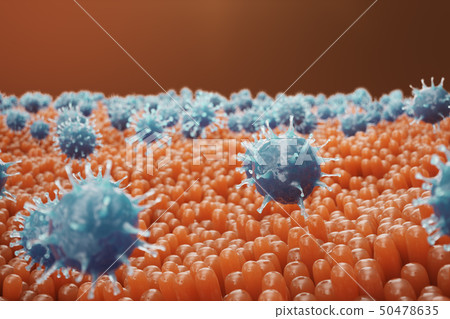 Intestinal villi. Intestine lining. Microscopic capillary. Human intestine. Concept of a healthy or 50478635