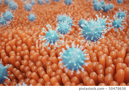 Intestinal villi, mucosa intestinal. Bacteria and microbes in intestines. Microscopic villi and 50478636