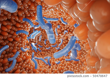 Intestinal villi, mucosa intestinal. Bacteria and microbes in intestines. Microscopic villi and 50478647