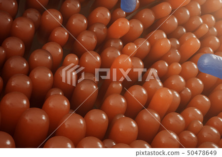 Intestinal villi, mucosa intestinal. Bacteria and microbes in intestines. Microscopic villi and 50478649