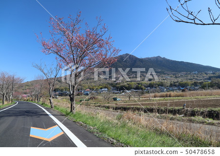 Tsukuba Kurigaura Rinrin Road, Tsukuba City Landscape Tsukuba Kurigaura Rinrin Road, Tsukuba City Landscape 50478658
