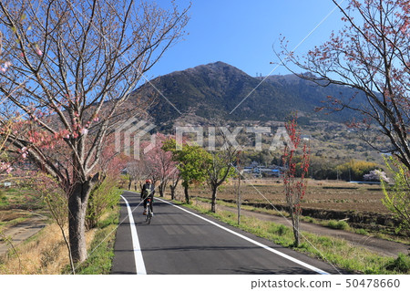 Tsukuba Kurigaura Rinrin Road, Tsukuba City Landscape 50478660