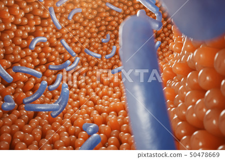 Intestinal villi, mucosa intestinal. Bacteria and microbes in intestines. Microscopic villi and 50478669
