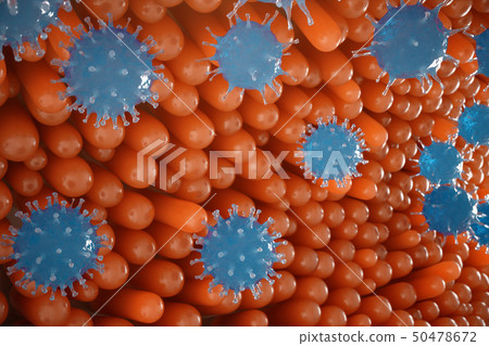 Intestinal villi. Intestine lining. Microscopic capillary. Human intestine. Concept of a healthy or 50478672