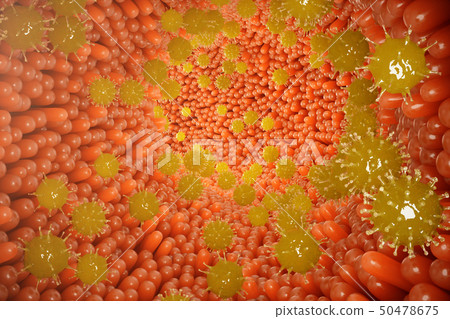 Intestinal villi, mucosa intestinal. Bacteria and microbes in intestines. Microscopic villi and 50478675
