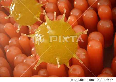 Intestinal villi, mucosa intestinal. Bacteria and microbes in intestines. Microscopic villi and 50478677