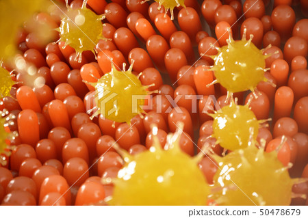 Intestinal villi. Intestine lining. Microscopic capillary. Human intestine. Concept of a healthy or Intestinal villi. Intestine lining. Microscopic capillary. Human intestine. Concept of a healthy or 50478679