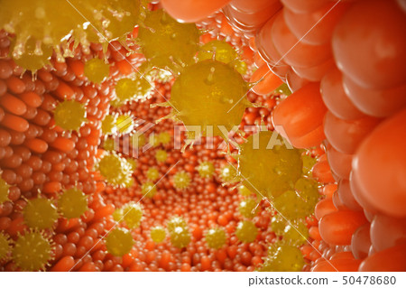 Intestinal villi, mucosa intestinal. Bacteria and microbes in intestines. Microscopic villi and 50478680