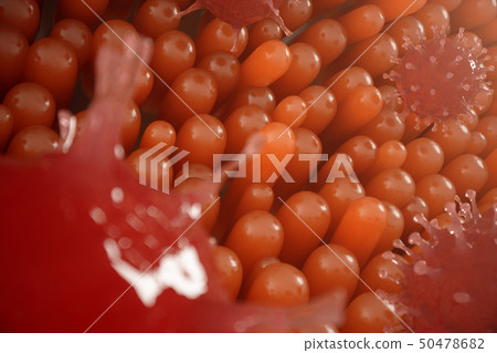 Intestinal villi, mucosa intestinal. Bacteria and microbes in intestines. Microscopic villi and 50478682