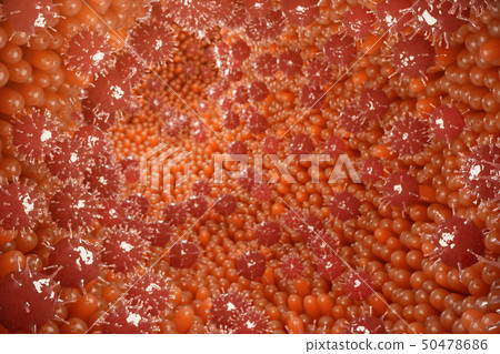 Intestinal villi, mucosa intestinal. Bacteria and microbes in intestines. Microscopic villi and 50478686