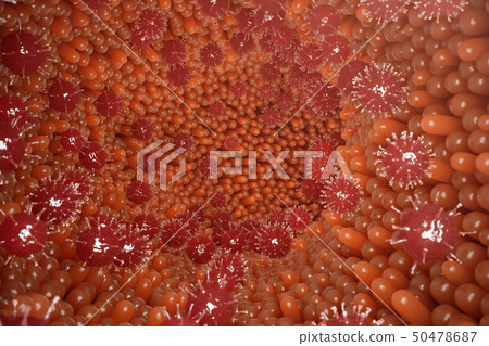 Intestinal villi. Intestine lining. Microscopic capillary. Human intestine. Concept of a healthy or 50478687