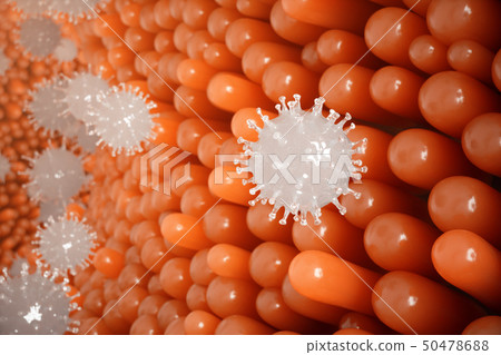 Intestinal villi, mucosa intestinal. Bacteria and microbes in intestines. Microscopic villi and 50478688