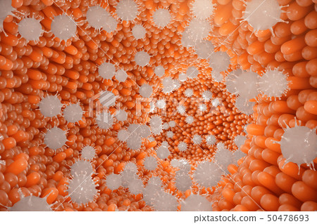 Intestinal villi. Intestine lining. Microscopic capillary. Human intestine. Concept of a healthy or 50478693