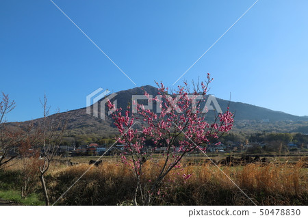 Tsukuba Kurigaura Rinrin Road Tsukuba Rest Office Tsukuba Kurigaura Rinrin Road Tsukuba Rest Office 50478830