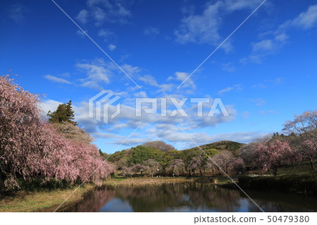 石岡縣石岡市的一座小山 50479380