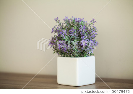Spa. Succulent plant on window ledge in modern bathroom 50479475