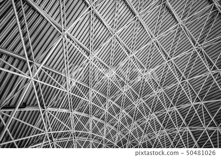 Modern interior architecture of metal steel roof. Modern interior architecture of metal steel roof. 50481026