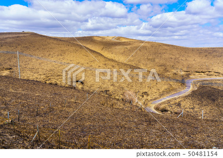 Scenery after burning of Daikanbo [Aso City, Kumamoto Prefecture] 50481154