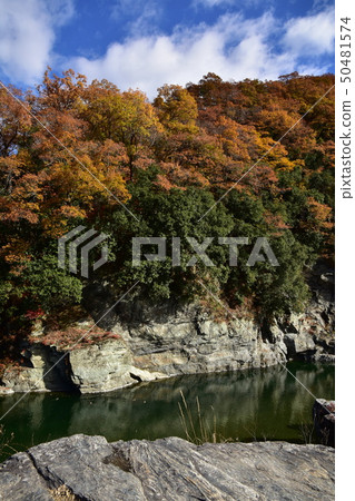 Nagatoro of autumn leaves 50481574