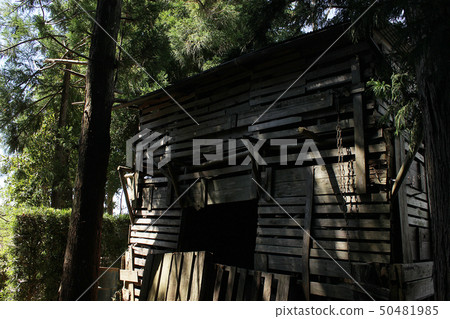 Manyo Forest Park 50481985