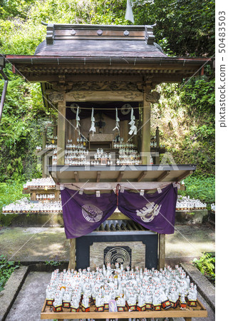 Sasuke Inari Shrine (Sasuke, Kamakura City) 50483503