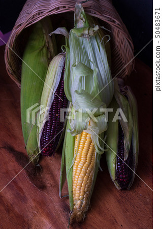 Black and yellow corn Black and yellow corn 50483671
