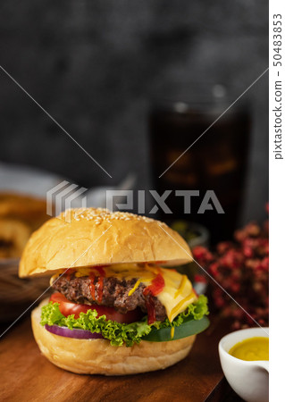 Hamberger with sauce Hamberger with sauce 50483853