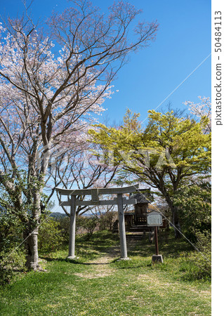 Yamashiro Tsukiyama Tomita Castle Spring 50484113